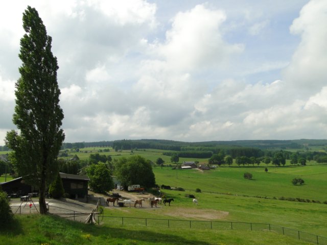 2014HWK 028.jpg